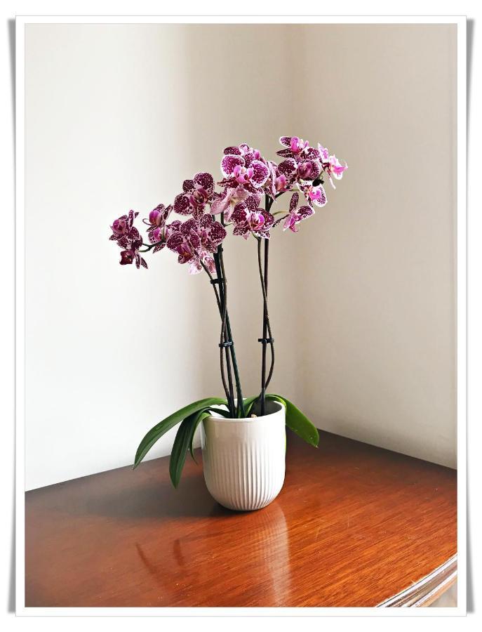 Spacious And Modern 2 Bedroom Flat Near The City Centre Edinburgh Ngoại thất bức ảnh